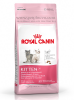 Royal Canin Kitten cho mèo con - anh 1